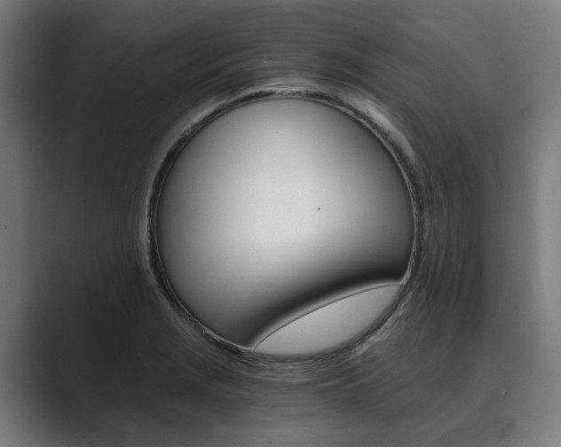 X0000089931229200706290748