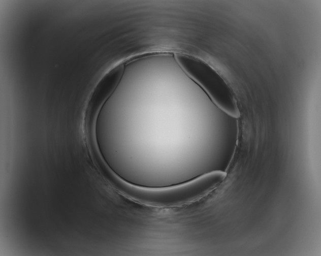 X0000089931230200706290748
