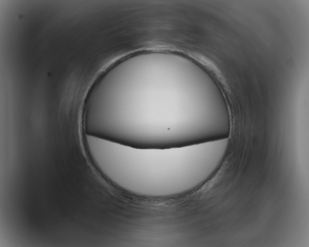 X0000089931231200706290748