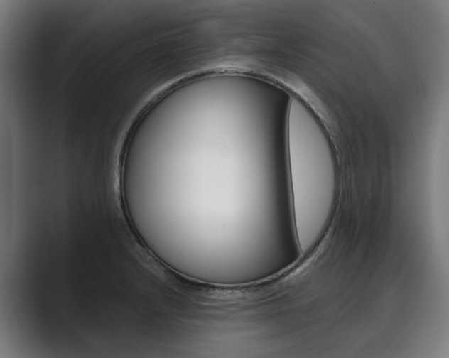 X0000089931232200706290748