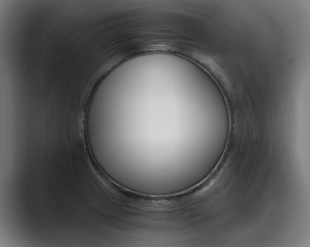 X0000089931233200706290748
