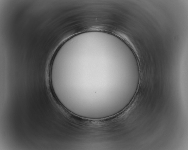 X0000089931235200706290749