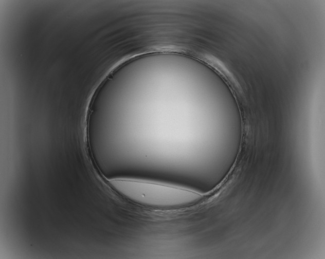 X0000089931236200706290749