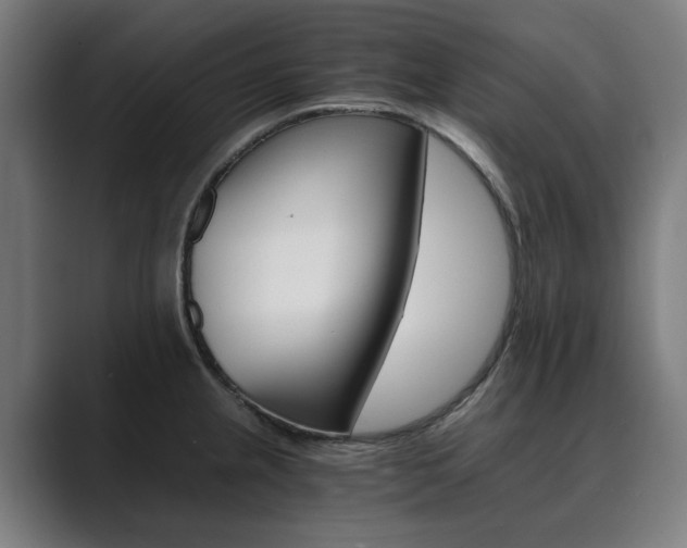 X0000089931237200706290749