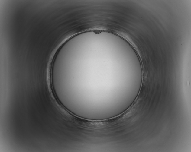 X0000089931243200706290749