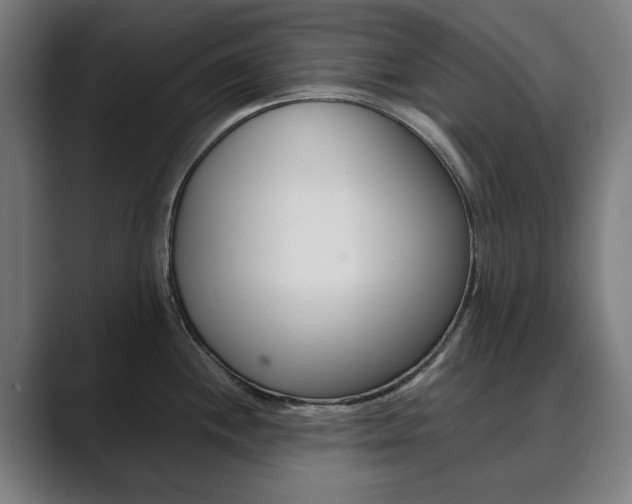X0000089931244200706290749