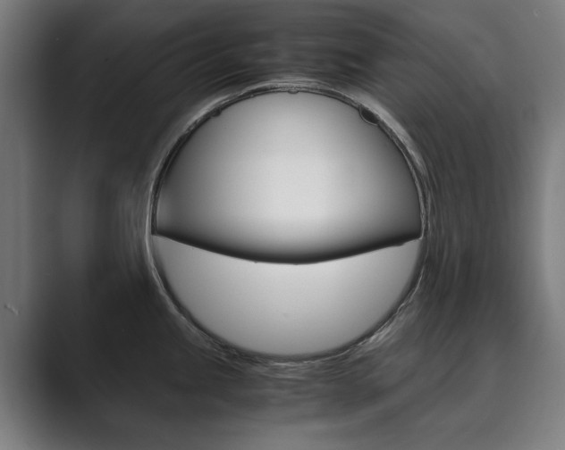 X0000089931245200706290749