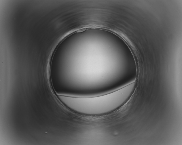X0000089931246200706290749