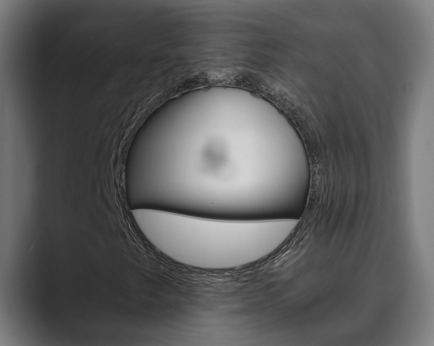 X0000089931249200706290748