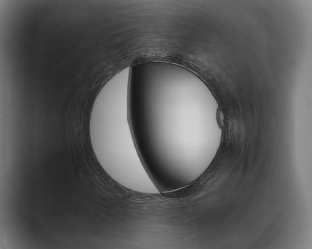 X0000089931250200706290748