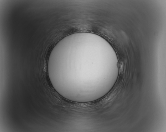 X0000089931251200706290748