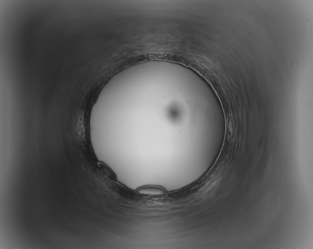 X0000089931252200706290748