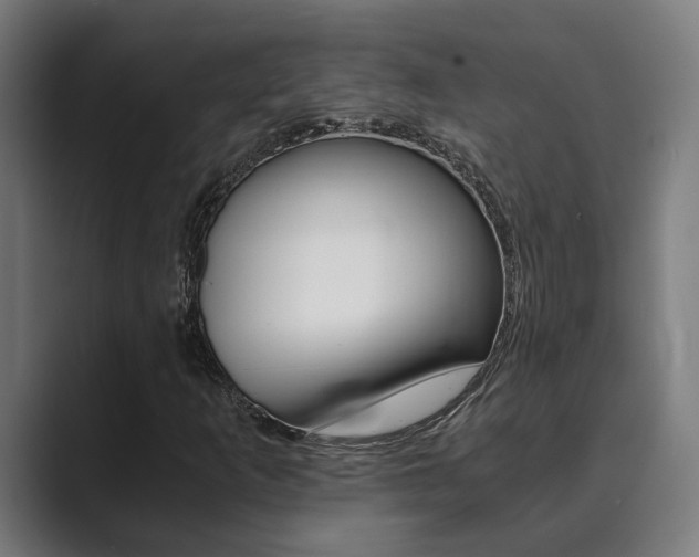 X0000089931253200706290748