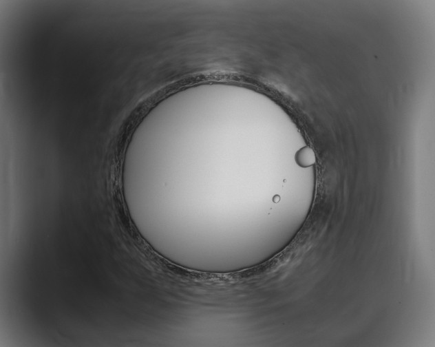 X0000089931255200706290748