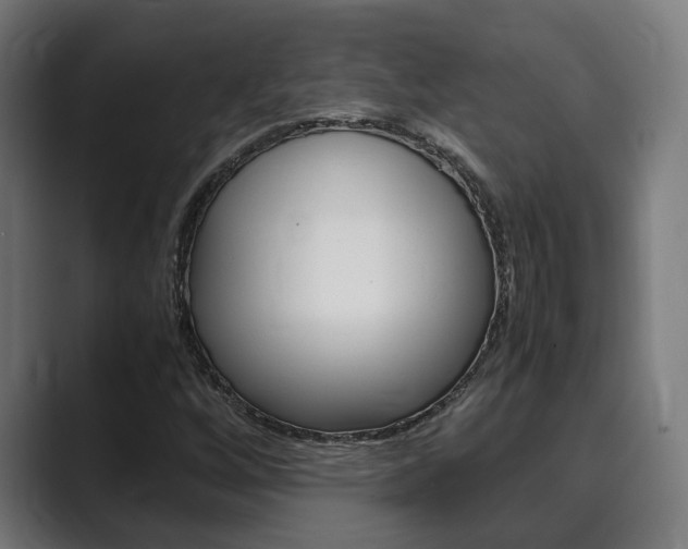 X0000089931256200706290748
