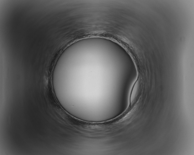 X0000089931257200706290748