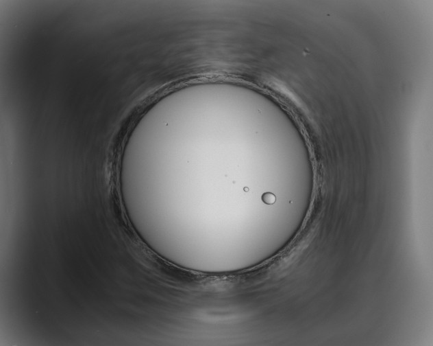 X0000089931259200706290748