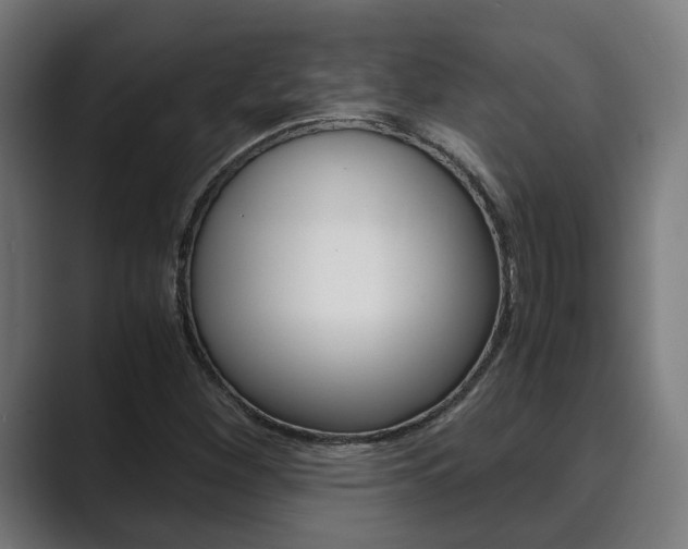 X0000089931260200706290748