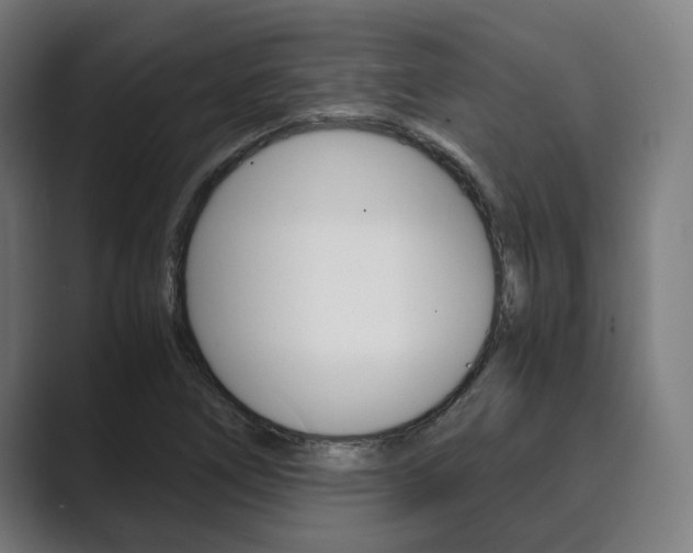 X0000089931266200706290748