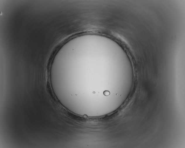 X0000089931267200706290748
