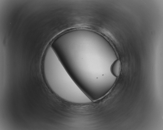 X0000089931268200706290748