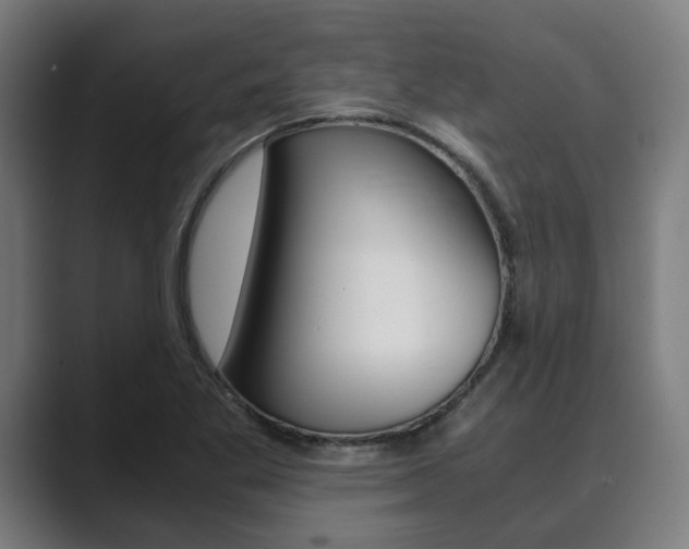 X0000089931269200706290748