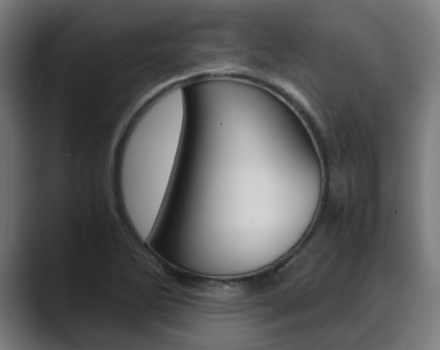X0000089931270200706290748