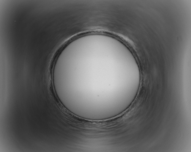 X0000089931271200706290748