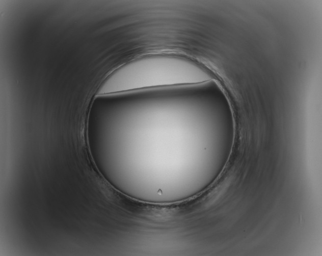 X0000089931273200706290748
