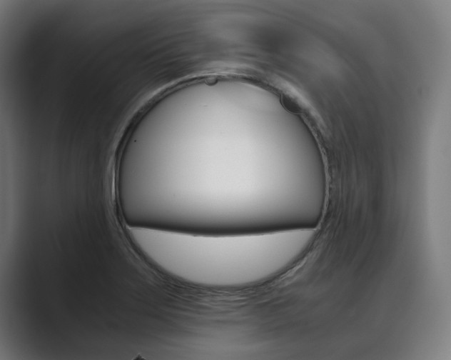 X0000089931275200706290748