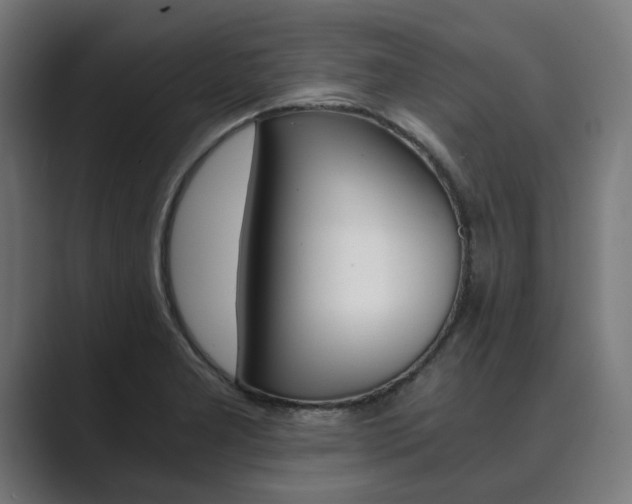 X0000089931277200706290748
