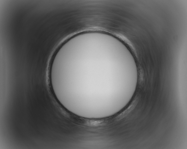 X0000089931278200706290748