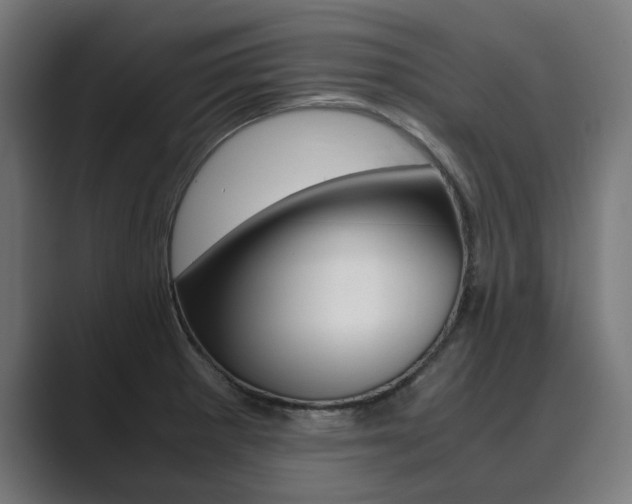 X0000089931281200706290748