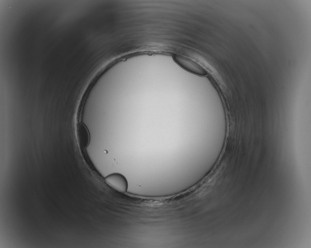 X0000089931283200706290748