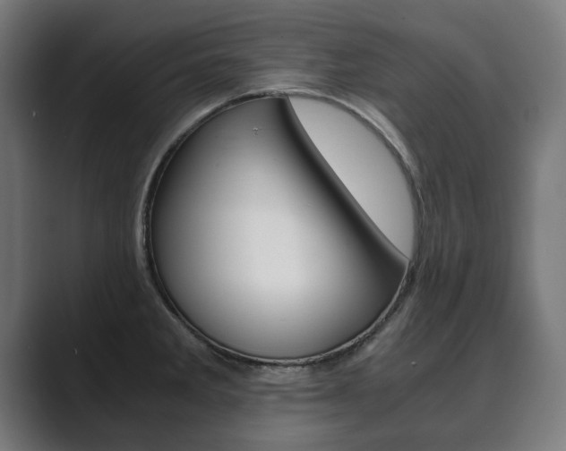 X0000089931285200706290748