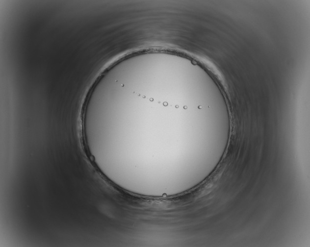 X0000089931287200706290748