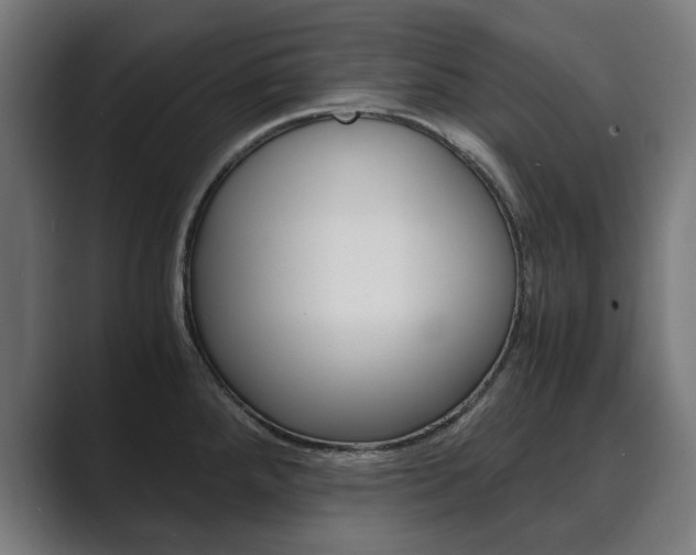 X0000089931288200706290748