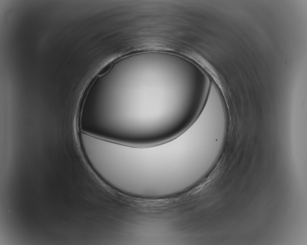 X0000089931293200706290747