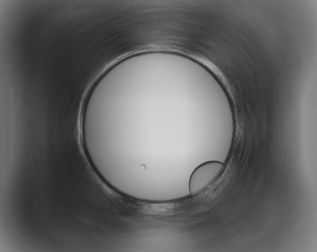 X0000089931294200706290747