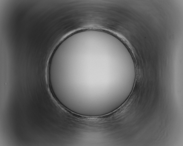 X0000089931295200706290747