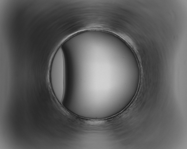 X0000089931296200706290747