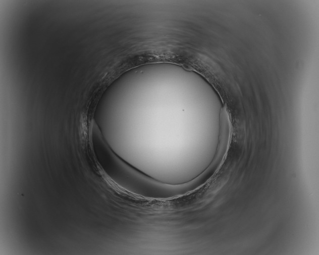 X0000089931298200706290747