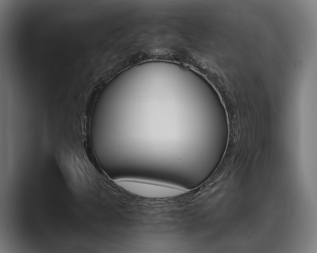 X0000089931301200706290747