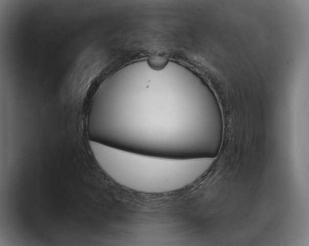 X0000089931302200706290747