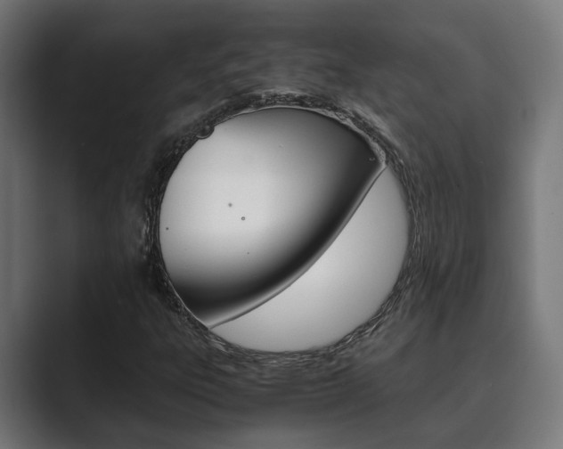 X0000089931303200706290747