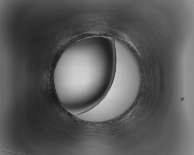 X0000089931304200706290747