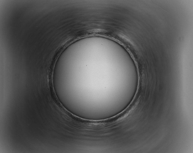 X0000089931305200706290747