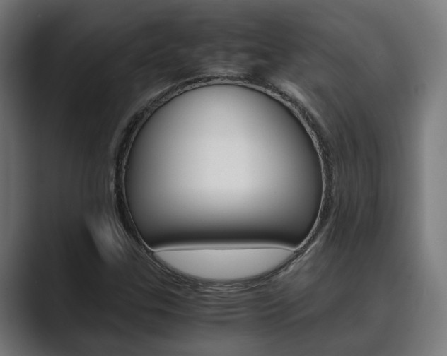 X0000089931307200706290747