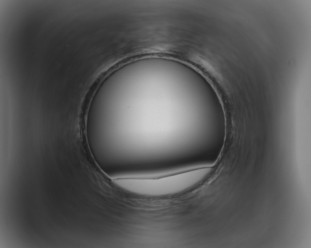 X0000089931308200706290747