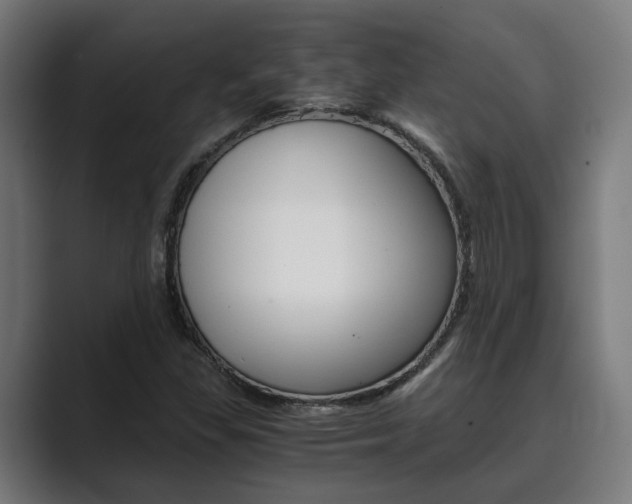 X0000089931309200706290747